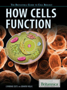 How-Cells-Function.jpeg