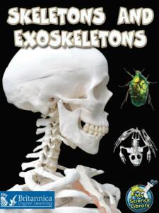 Skeletons-and-Exoskeletons.jpeg